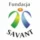 Sklep Fundacji SAVANT